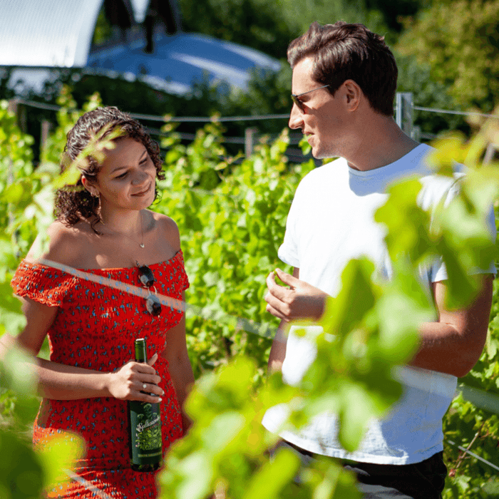 Sedlescombe Organic Vineyard Tour & Wine Tasting Voucher