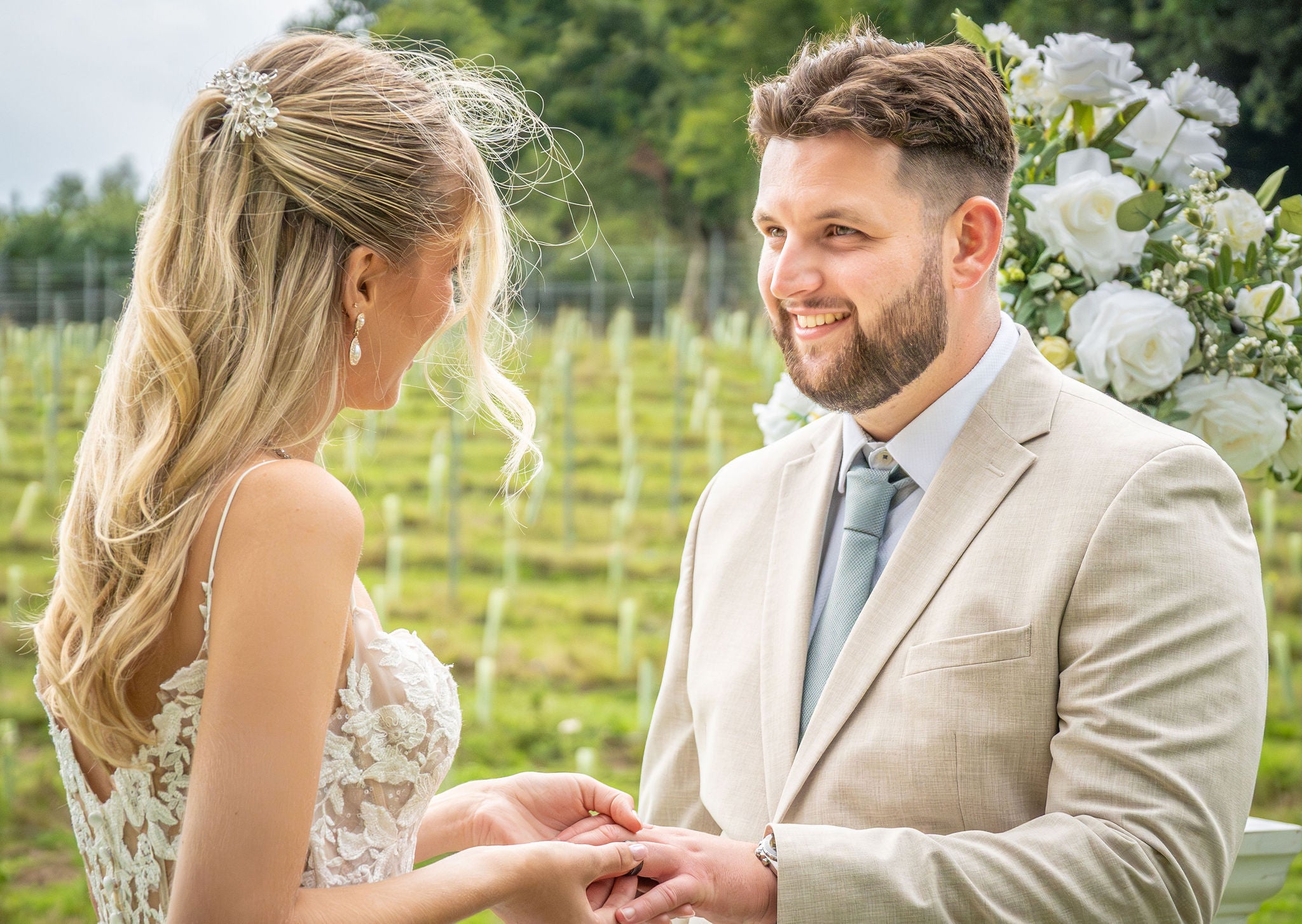 Sedlescombe Vineyard